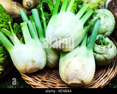Frische organische Fenchel in Markt Stockfoto