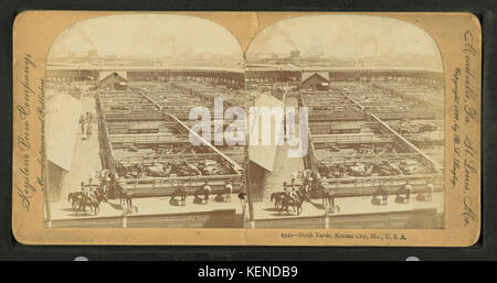 Stockyards, Kansas City, Missouri, von Keystone View Company Stockfoto