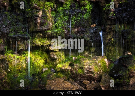 Kleiner Wasserfall über Moos bedeckt Felsen mit Sonnenschein. Hilton fällt Conservation Area, Ontario, Kanada. Stockfoto