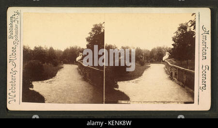 Pelikane in zoologischen Gärten, Cincinnati, O von Webster & Albee Stockfoto