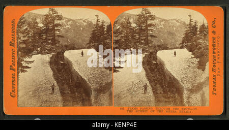 Teams, die durch den Schnee auf dem Gipfel der Sierra Nevada, von Thomas Houseworth & Co. Stockfoto