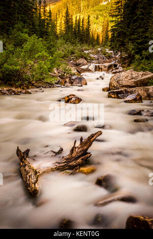 Mosquito Creek entlang des Icefields Parkway, Banff National Park, Alberta, Kanada Stockfoto