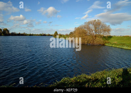 Walthamstow Wetlands, London, Großbritannien Stockfoto