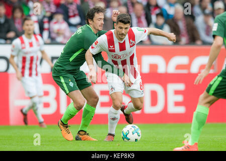 Köln, Deutschland. Oktober 2017. Thomas DELANEY (li., HB) gegen Milos JOJIC (K), Aktion, Duels, Fussball 1. Bundesliga, 9. Spieltag, 1.FC Köln (K) - Werder Bremen (HB) 0:0, am 22.10.2017 in Köln. |Nutzung weltweit Guthaben: dpa/Alamy Live News Stockfoto