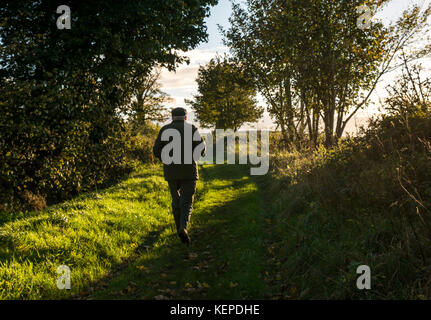 Ältere ältere Mann, Gummistiefel, Jacke und Kappe gehen auf einem Gras weg in der Landschaft mit niedrigen Sonnenlicht auf Herbst Tag, Schottland, Großbritannien Stockfoto