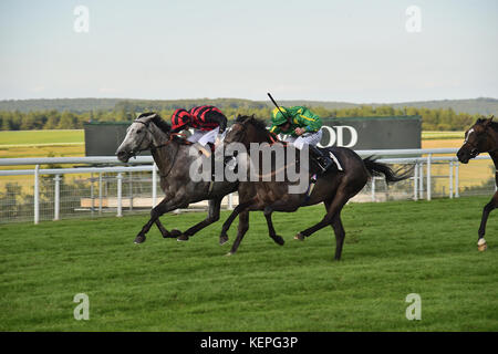 Lady Bergamotte nimmt weiße Schokolade (1) Im sechsten Rennen des Tages (17:05 Levin, stutfohlen "Handicap Stangen) in Goodwood Pferderennbahn. Stockfoto