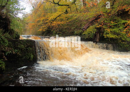 Lynn fällt, auf lugton Wasser westlich von dalry, North Ayrshire, Schottland mit Herbst Bäume im Hintergrund. Stockfoto