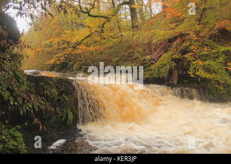 Lynn fällt, auf lugton Wasser westlich von dalry, North Ayrshire, Schottland mit Herbst Bäume im Hintergrund. Stockfoto