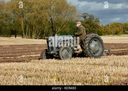 Massey Ferguson TE 20 "Little Grey Fergie Pflügen Stoppeln Feld UK Stockfoto