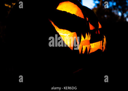 Halloween Stockfoto
