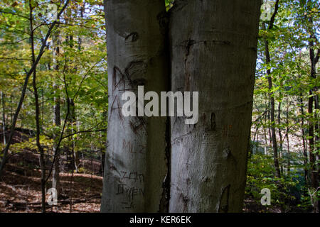 Walnut Street Park aus Pfad Exploration Stockfoto