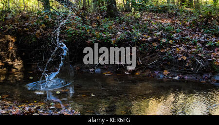 Walnut Street Park aus Pfad Exploration Stockfoto