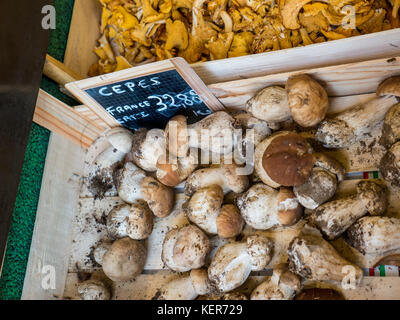 CEPES PORCINI französische CEPES-Pilze im Bauernmarkt, in rustikaler Holzkiste mit Tafelpreisetikett Bretagne Frankreich Stockfoto