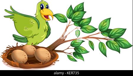 Abbildung: Ein grüner Vogel auf dem Ast eines Baumes auf weißem Hintergrund Stock Vektor