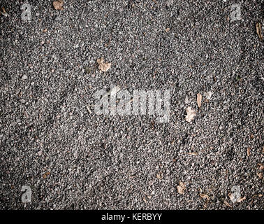 Grau körnig sandigen Boden mit Laub. Hintergrund, Textur. Stockfoto