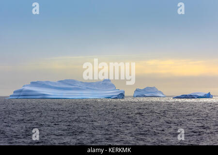 Drei riesige Blaue Eisberge über das Meer bei Lemaire Kanal driften, Antarktis Stockfoto