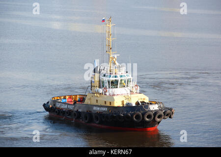 Die cargo Port. kleines, aber dennoch leistungsstarkes Schubschiff mit einer russischen Flagge für Escort und Abschleppen von kommerziellen und Pkw. Sommer sonnigen Abend. Stockfoto