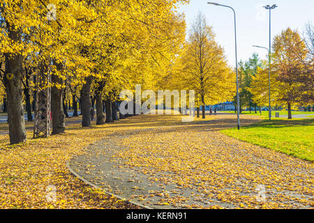 Lettland, Riga, Altstadt, Völker und Architektur. Straßen und Victory Park. 2017 Stockfoto