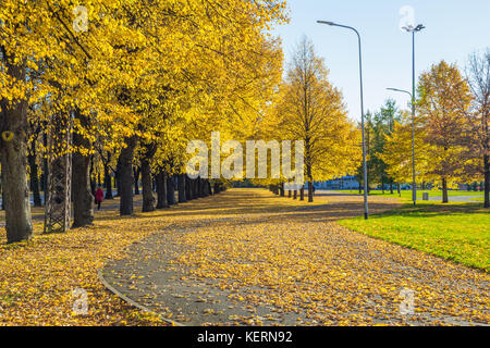 Lettland, Riga, Altstadt, Völker und Architektur. Straßen und Victory Park. 2017 Stockfoto