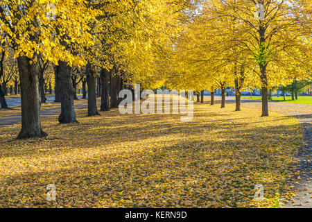 Lettland, Riga, Altstadt, Völker und Architektur. Straßen und Victory Park. 2017 Stockfoto