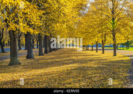 Lettland, Riga, Altstadt, Völker und Architektur. Straßen und Victory Park. 2017 Stockfoto