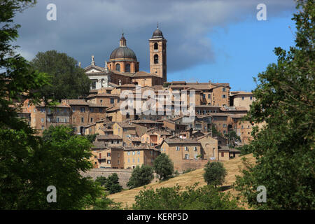 Blick auf Urbino, mit der Kathedrale und der Altstadt, Marken, Italien Stockfoto