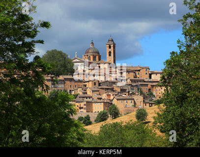 Blick auf Urbino, mit der Kathedrale und der Altstadt, Marken, Italien Stockfoto