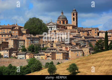 Blick auf Urbino, mit der Kathedrale und der Altstadt, Marken, Italien Stockfoto