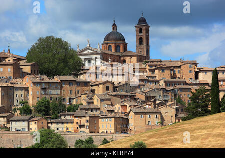 Blick auf Urbino, mit der Kathedrale und der Altstadt, Marken, Italien Stockfoto