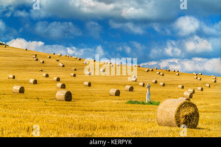 Straw bales on a wheat field in Slovakia Stockfoto
