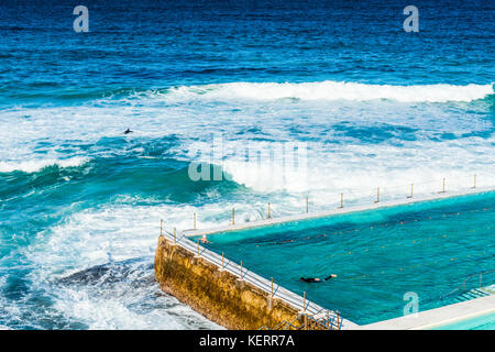 Schwimmer genießen das kristallklare Wasser des Außenpools Und das Meerwasser rund um den Bondi Strand und den Küstenspaziergang Von Coogee nach Bondi in Sydney Austr Stockfoto