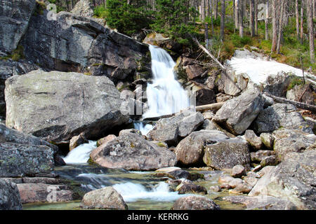 Wasserfälle von studeny potok in der Hohen Tatra in der Nähe von Stary Smokovec, Slowakei Stockfoto