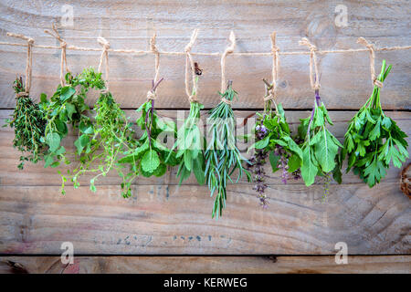 Sortierte hängende Kräuter, Petersilie, Oregano, Minze, Salbei, Rosmarin, Basilikum, Heiliges Basilikum und Thymian zum Würzen Konzept auf der urigen alten Holz- Hintergrund. Stockfoto