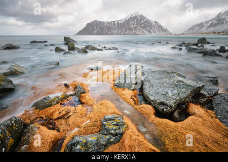 Felsige Küste von Fjord in Norwegen Stockfoto