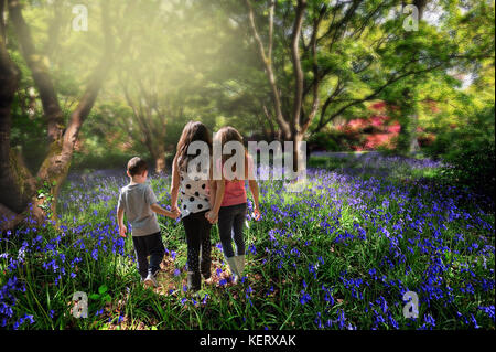 Kinder gehen Hand in Hand durch Bluebell Woods Stockfoto