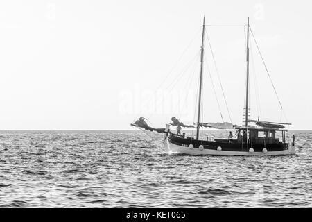 Piran im Sommer 2017 Stockfoto