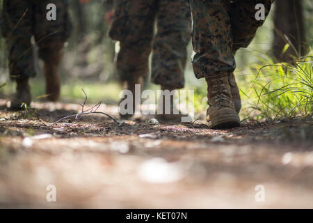 Marines zu Fuß über eine Spur. Stockfoto