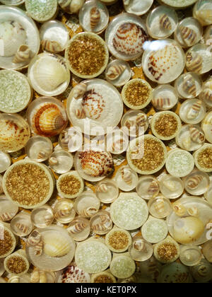 Eine shell collage Muster Stockfoto