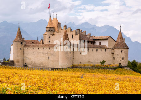 Aigle Schloss von Weinbergen, Aigle, Waadt, Schweiz umgeben Stockfoto