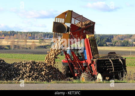 PAIMIO, FINNLAND - 21. OKTOBER 2017: Während der herbstlichen Zuckerrübenernte entlädt der Landwirt die Zuckerrüben aus dem Rübenerntertank von Juko seitlich vom Feld Stockfoto