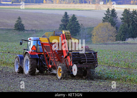 Paimio, Finnland - 21. Oktober 2017: Bauern ernten Zuckerrüben mit Massey Ferguson farm Traktor und Juko rübenerntemaschine an einem schönen Tag im Herbst. Stockfoto