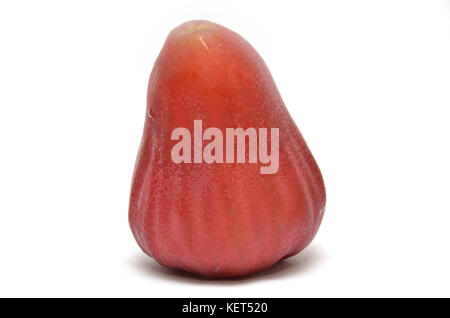 Rose Apple oder chomphu auf weißem Hintergrund Stockfoto