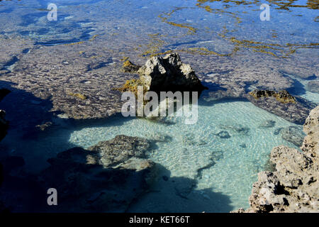 Gezeiten- Pools in der Nähe von Ka'ena point Trail, Oahu Hawaii Stockfoto