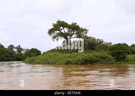 Rancho La Pavona in Tortuguero Fluss übertragen, Rio Suerte, Provinz Limón, Costa Rica, Karibik, Mittelamerika Stockfoto