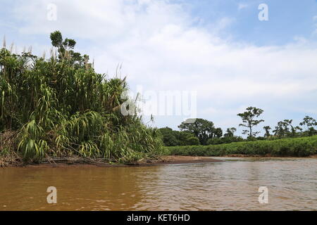 Rancho La Pavona in Tortuguero Fluss übertragen, Rio Suerte, Provinz Limón, Costa Rica, Karibik, Mittelamerika Stockfoto