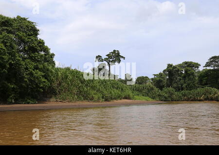 Rancho La Pavona in Tortuguero Fluss übertragen, Rio Suerte, Provinz Limón, Costa Rica, Karibik, Mittelamerika Stockfoto