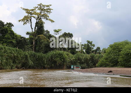 Rancho La Pavona in Tortuguero Fluss übertragen, Rio Suerte, Provinz Limón, Costa Rica, Karibik, Mittelamerika Stockfoto