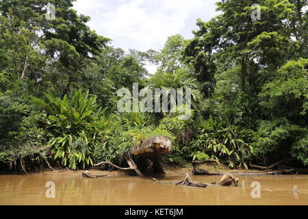 Rancho La Pavona in Tortuguero Fluss übertragen, Rio Suerte, Provinz Limón, Costa Rica, Karibik, Mittelamerika Stockfoto