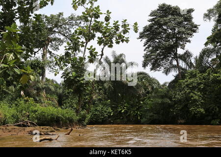 Rancho La Pavona in Tortuguero Fluss übertragen, Rio Suerte, Provinz Limón, Costa Rica, Karibik, Mittelamerika Stockfoto