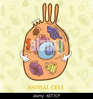 Bildung Diagramm der Biologie für tierischen Zelle Diagramm Stock Vektor